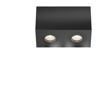 Потолочный светильник MAYTONI ATOM C017CL-02B