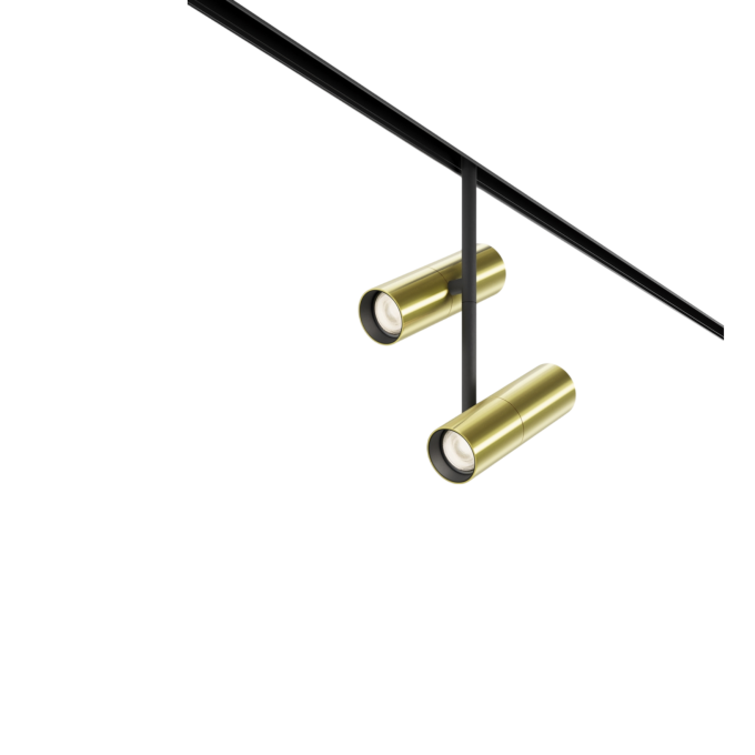 Трековый светильник MAYTONI ELTI DUO TR005-2-2X12W3K-BBS
